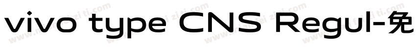 vivo type CNS Regul字体转换
